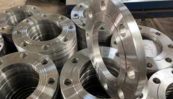 Hastelloy Flanges